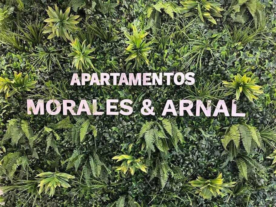 XXI E Apartamentos Morales & Arnal Ronda Extérieur photo